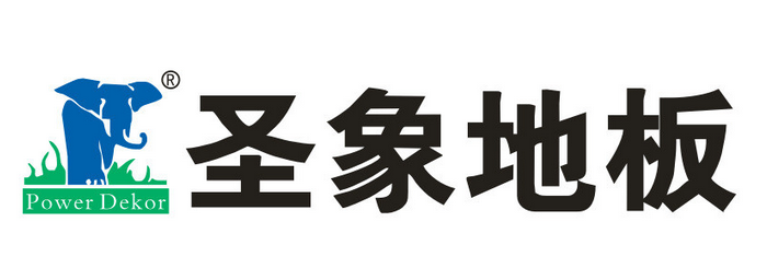 大骚逼好日